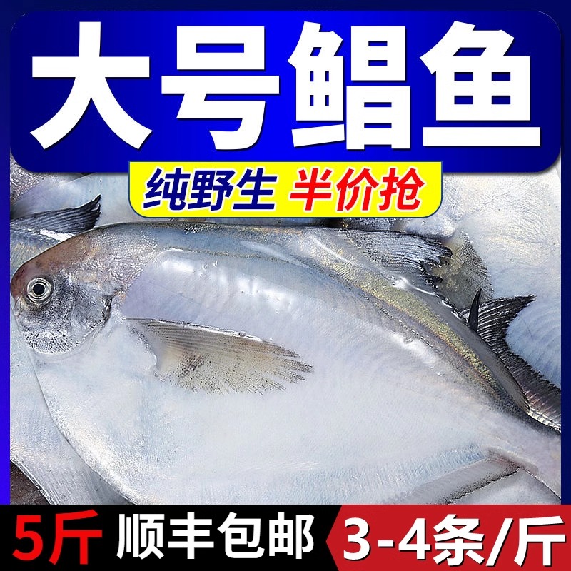 银鲳鱼新鲜冷冻昌鱼冰鲜大号白鲳平鱼鲜活海鲜水产深海鱼5斤 顺丰 水产肉类/新鲜蔬果/熟食 鲳鱼 原图主图