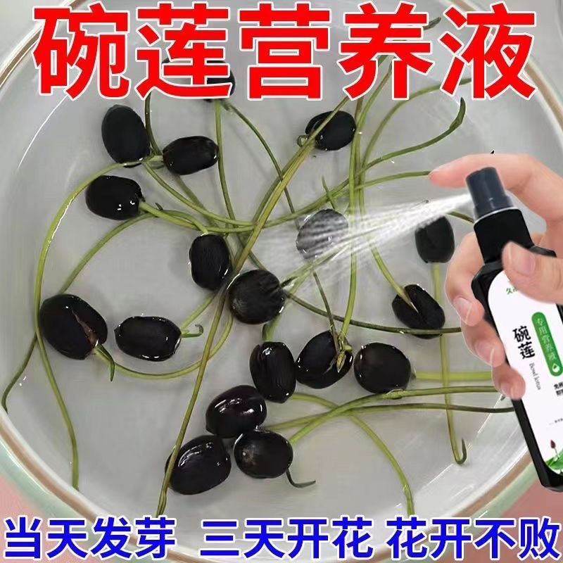 睡莲碗莲营养液通用水溶肥水培种子发芽生根促开花防黄叶专用肥料