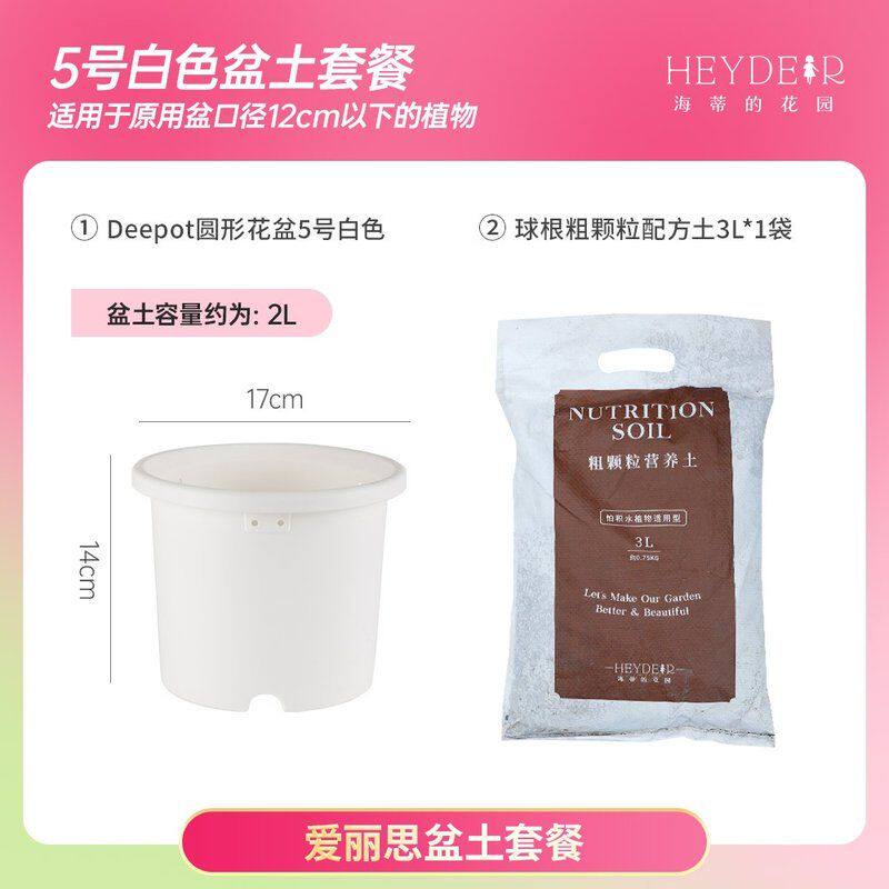海蒂的花园换盆套餐种植百合唐菖蒲大丽花粗颗粒土疏松透气土