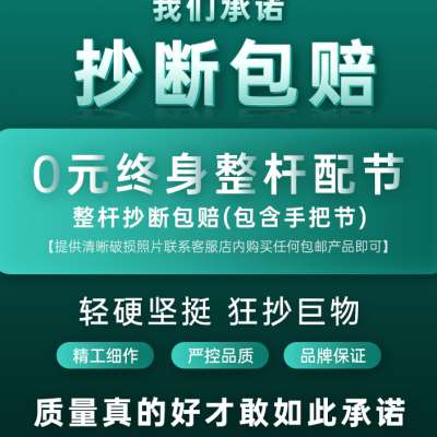 新款碳素抄网套装超轻超硬大物伸缩杆鱼网抄网杆钓鱼网兜网头全套-封面