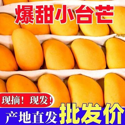 海南小台农芒果新鲜10斤小台芒应季时令水果当季芒果整箱大果包邮