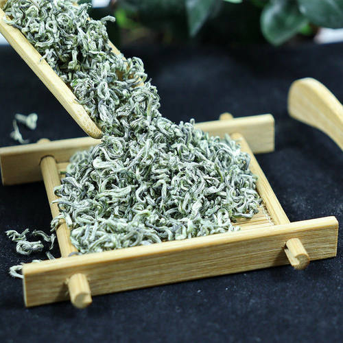 新茶蒙顶甘露山茶嫩芽厂价直发