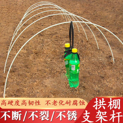 小拱棚拱杆温室大棚支架地膜保温