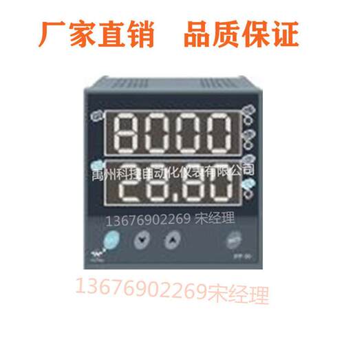 福建WP-LE3IM-L9724NT有功无功功率表