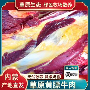 内蒙古散养现杀黄膘草原黄牛肉牛排牛腩牛腱子非南屯新鲜5斤原切