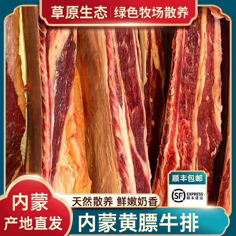 内蒙古黄膘牛排散养现杀苏白牛非南屯新鲜黄膘牛排牛肋排5斤包邮
