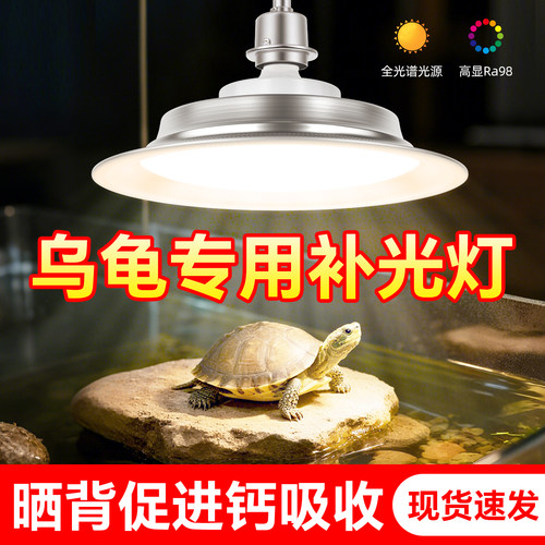 乌龟晒背灯补钙加热灯促进食欲uva灯爬宠灯全光谱仿太阳光宠物灯