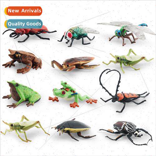 Insect model children puzzle cognive grasshopper fly beetle