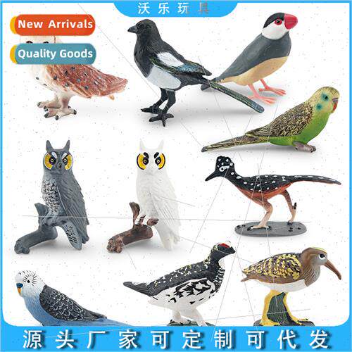 Owl magpie Wen bird parrot garden decoration birds birds ani