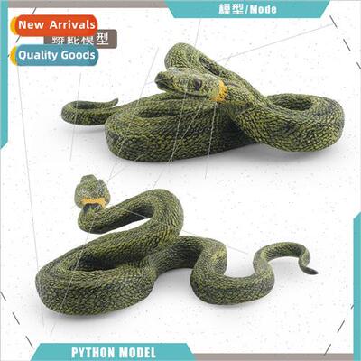 Wild reptile python boa snake plum snake children cognive co
