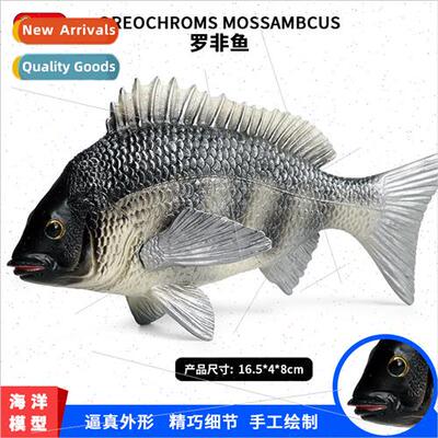 Children simulation animal model solid freshwater fish tilap
