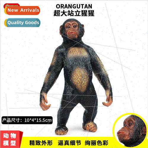 Solid wildlife model children toys chimpanzee zoo monkey pla