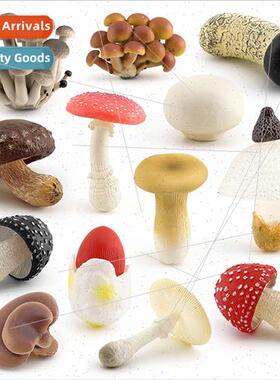 Fungi mushroom model flat mushroom whe poisonous gooseberry