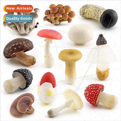 Fungi mushroom model flat mushroom whe poisonous gooseberry