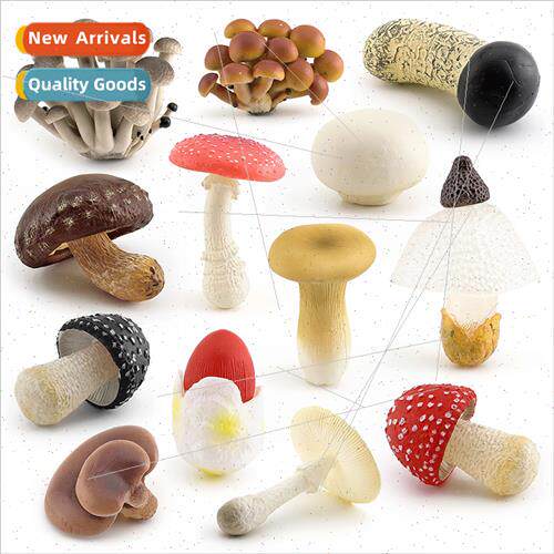 Fungi mushroom model flat mushroom whe poisonous gooseberry