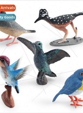 mulation walking cuckoo bird hummingbird robin wild bird bir