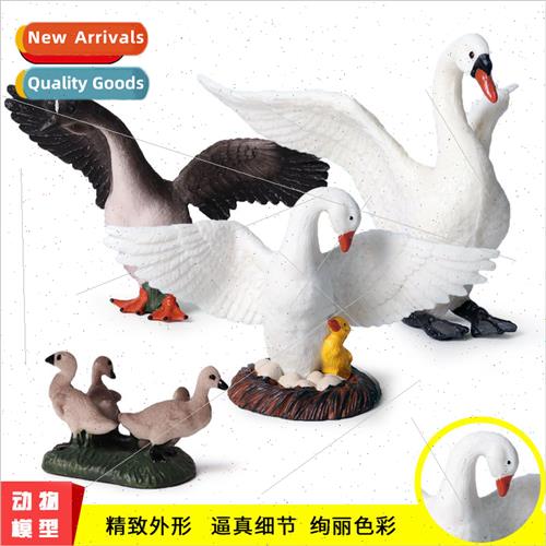 Children wildlife model poultry hatching eggs whe swan winge
