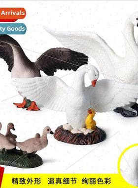 Children wildlife model poultry hatching eggs whe swan winge