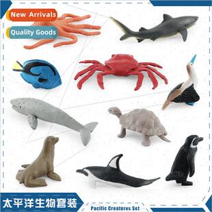 Pacific creatures octopus tortoise tiger shark gray whale ti