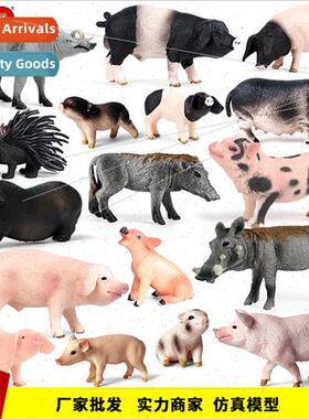 solid piggy model piglets sows poultry animal model htoys st