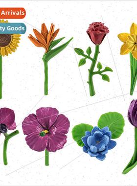 Animal farm stable  flower plant model sunflower bird paradi