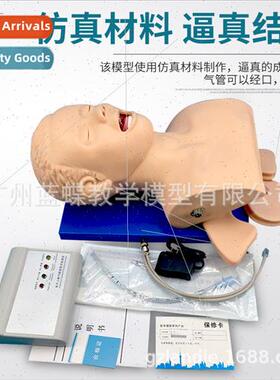 Electronic human tracheal intubation training model Adult tr