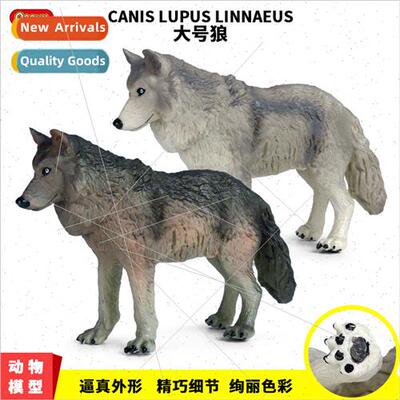 Children wildlife wolf static model large green female wolf