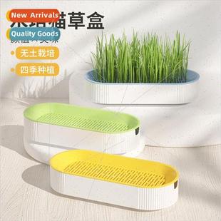 Pet cat supplies snacks catnip planting hydroponic box cat g