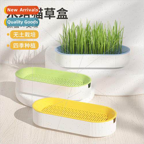 Pet cat supplies snacks catnip planting hydroponic box cat g