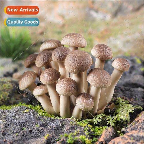 Fake mushrooms wild vegetables mountain vegetables vegetable - 实物图