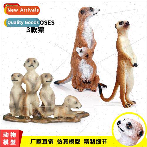 simulation animal model toys wh boy meerkat standing meerkat