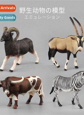 African wildlife model  antelope model simulation longhorn b