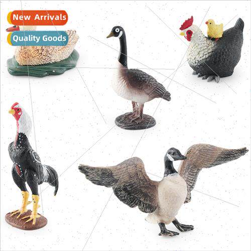 hen duck fighting hen hen back chick canada goose farm poult