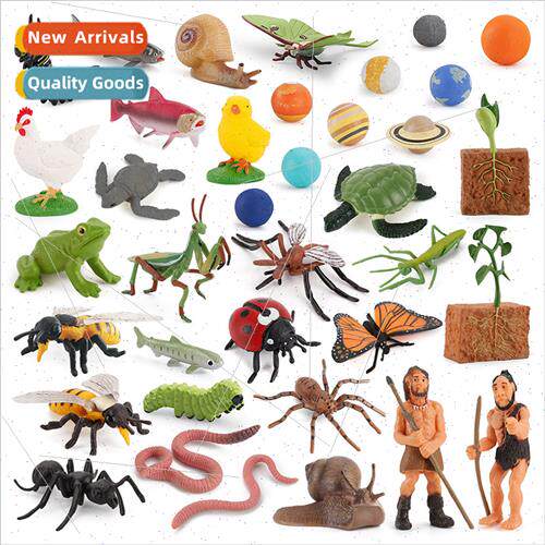 Children early education cognive animal growth life growth c