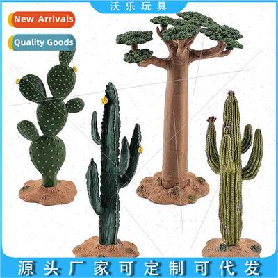 green plant props cactus e baobab e tropical e static orname