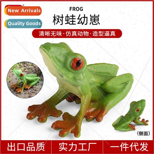simulation animal toys solid amphibian model red-eyed e frog