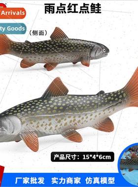 Tropical marine saltwater fish model toys raindrop sockeye s