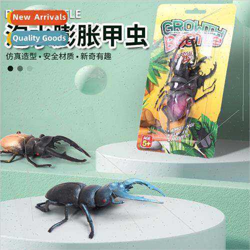 Soak water expansion beetle children educational toys insect