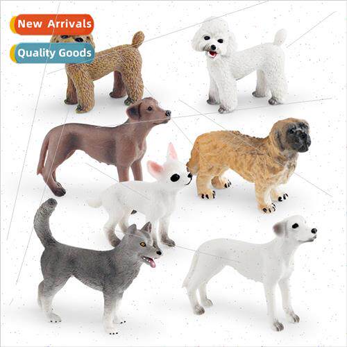 Pet Dog Dog Animal Model Solid Field Spaniel Maltese Poodle