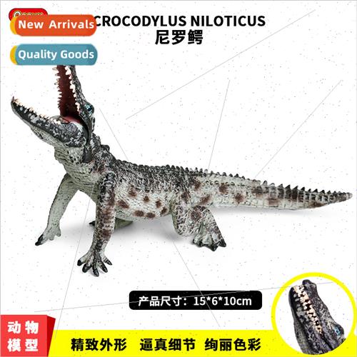 Children toys le crocodile Yang crocodile amphibian doll orn