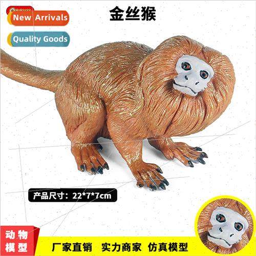 Solid zoo monkey model static golden monkey orangutan apes m