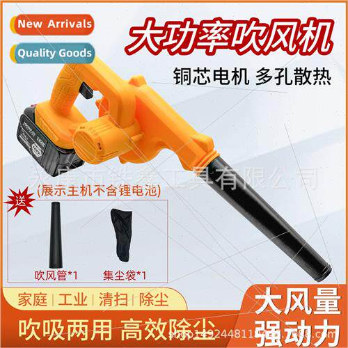 High-power all-copper motor lhium-ion hair dryer blowing plu