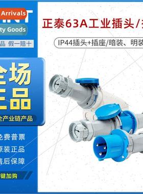 NTC1-3/463/563 five-prong 63A industrial waterproplug open c