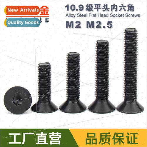 M2 M2.5 flat cup 10.9 grade black flat head hexagon socket s
