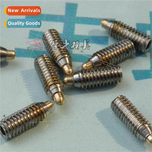 Stainless Steel Plunger Screws Locating Pin Indexing Pin Spr
