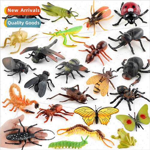 Insect model flies bugs butterflies wasps unicorns tiger bee