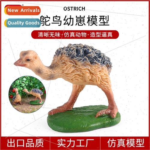 Children animal toys animal model ostrich cubs emu walkers b