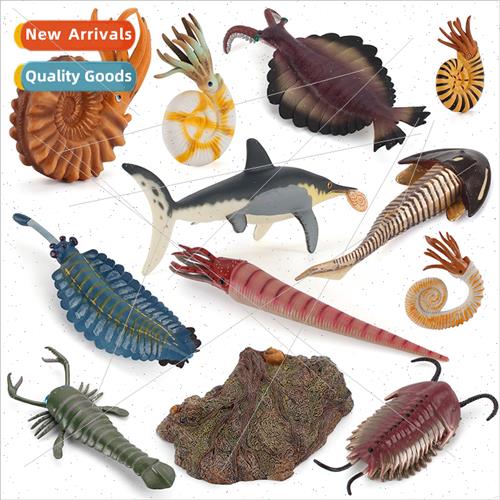 Nautilus plate foot horseshoe crab odd shrimp model children