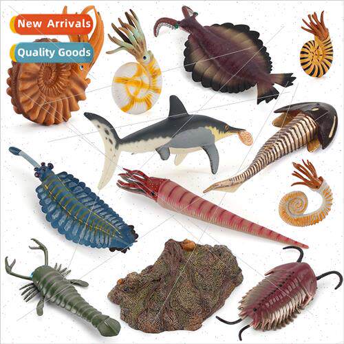 Nautilus plate foot horseshoe crab odd shrimp model children