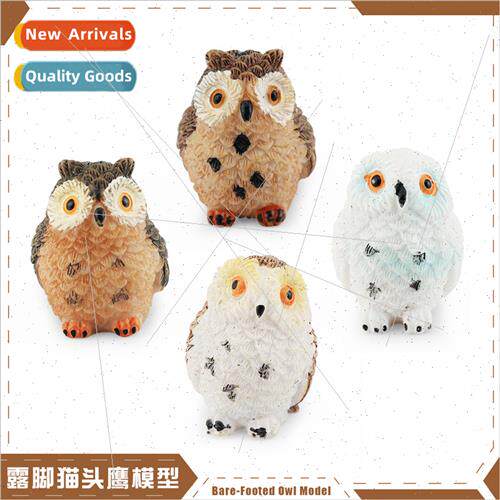 Dew-legged owl bird animal model desktop landscape decoratio